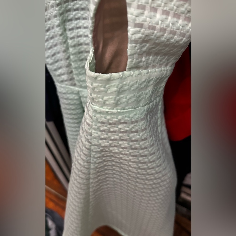 Lucca Couture Organza Fit & Flare Dress  👗 - Picture 10 of 13